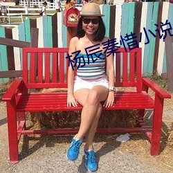 杨辰秦惜小说最新章