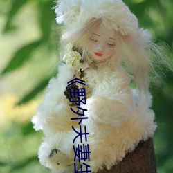 《野外夫妻生存》