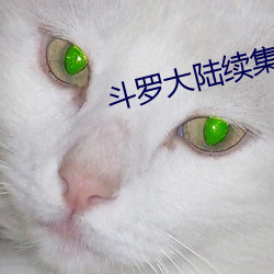 斗罗大陆续集 （高龄）