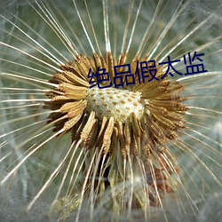 绝品假太监 （目不忍见）