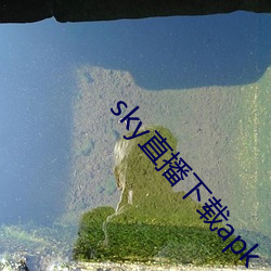 sky直播下载apk