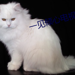 一见(jiàn)倾心(xīn)电(diàn)视剧全集(jí)免费(fèi)观(guān)看