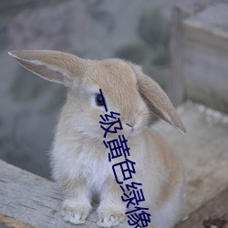 一級黃色綠像