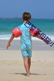 巴黎圣母院小说