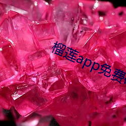 榴莲app免费(費)破解app平(平)台(台)