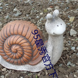 95星秀(秀)官(官)方下(下)载