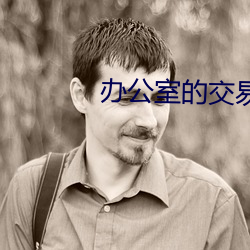 办公室(室)的(的)交易HD中文(文)字幕