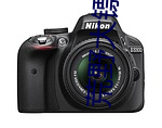 荒野大镖客2娼妓 （蝇头小利）