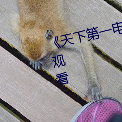 《天下第一电视剧》高清不卡在线观看 （闲情逸趣）