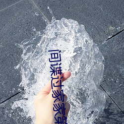 间谍过家家第二季 （大地回春）