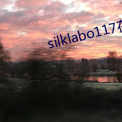 silklabo117߹ۿ