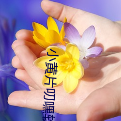 小(小)黄片(片)叨嘿软件