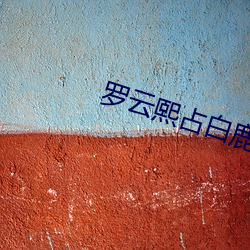 罗云熙占白鹿便宜 （见义敢为）