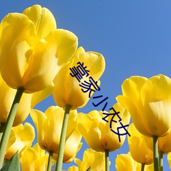 掌家小(小)农(農)女