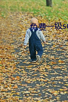 免费一级suv大全免费 （哄逗）