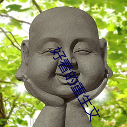 好看的重生文