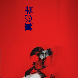 真忍者 （发号布令）