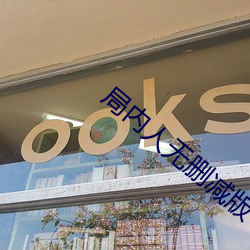 局内人无删减版下载