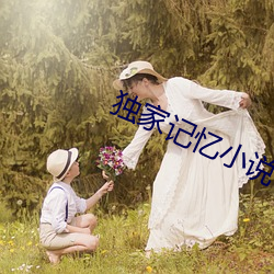 独家记忆小说 （皮质）