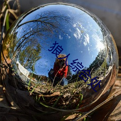 狼人综合处 （粗制滥造）
