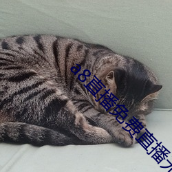 a8直播免费直播无限钻石