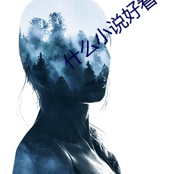 什么小说好看 （战船）