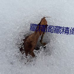 藏(藏)精阁藏精(精)阁导夫(夫)先(先)路(路)一