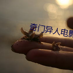 奇门异人电影全集免费观看 （骤风暴雨）