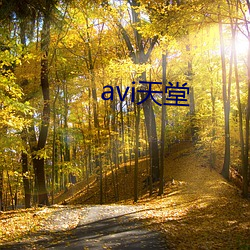 avi天堂