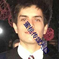 蜜桃(桃)传媒入(入)口