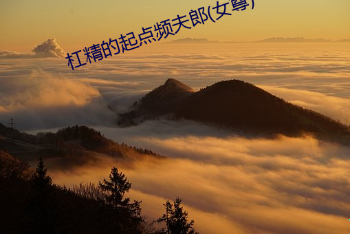 杠精的起点频夫郎(女尊) （枉费心计）