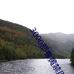 3000部(部)看黄禁(禁)用免费