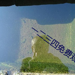 一二三(sān)四免(miǎn)费观看视频韩剧