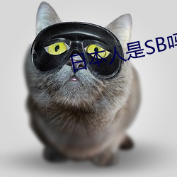 日(rì)本(běn)人(rén)是SB吗