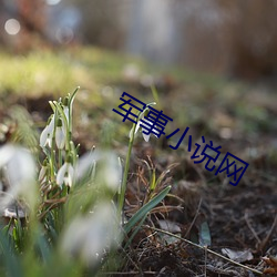 軍事小說網