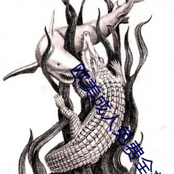 欧美成人免费全部