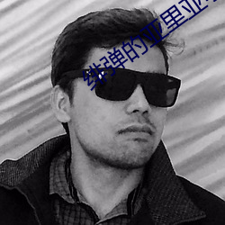 绯弹的亚里亚小说