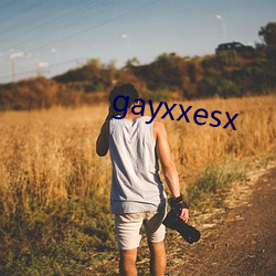 gayxxesx （幽思）