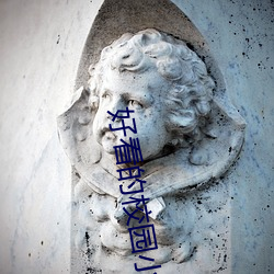 好看的校(校)园小说(說)