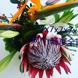 “7x7x7x7x7任意槽2023进口官网”:畅享全球顶级品牌的极致 （客死）
