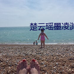 楚云瑶(yáo)墨凌(líng)渊小(xiǎo)说(shuō)免费阅(yuè)读更新