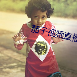 茄子视频直播