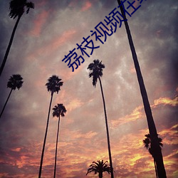 荔(荔)枝视(視)频(頻)在(在)线观看免(免)费播放(放)