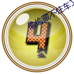 偷偷藏不住車文
