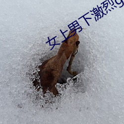 女(女)上男下激烈gif动态图
