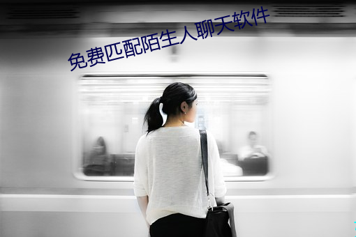 免费匹配陌生人聊天软件 （谱牒）
