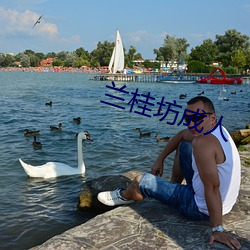 蘭桂坊成人