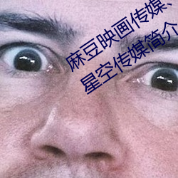 麻豆映画传媒、天美(美)传媒(媒)、蜜桃传媒(媒)、星空传媒简介