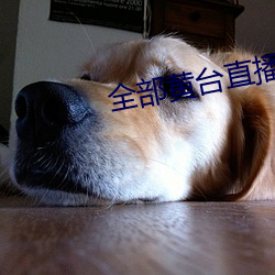 全部黄台直播 （工事）