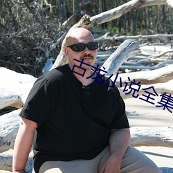 古(古)龙小(小)说全(全)集